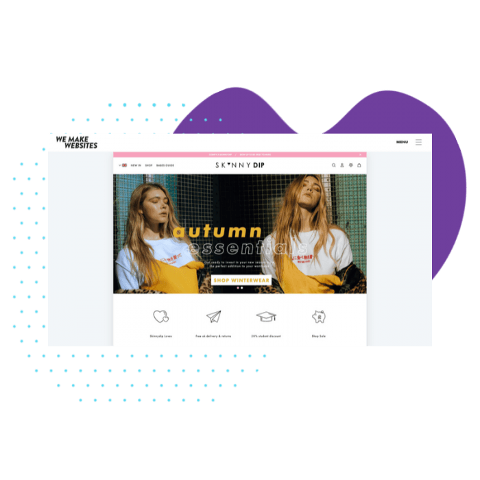 Skinnydip x We Make Websites